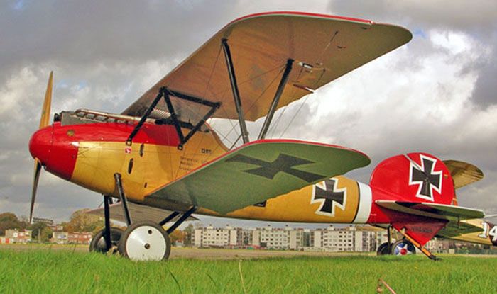 albatros.jpg