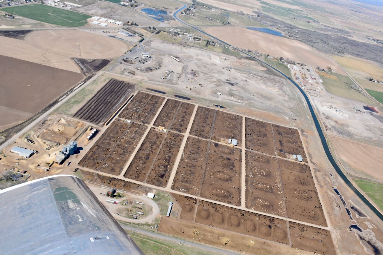 cattle ranch by Idaho Falls - 1.jpeg