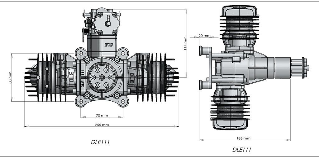 dle_111-3.jpg