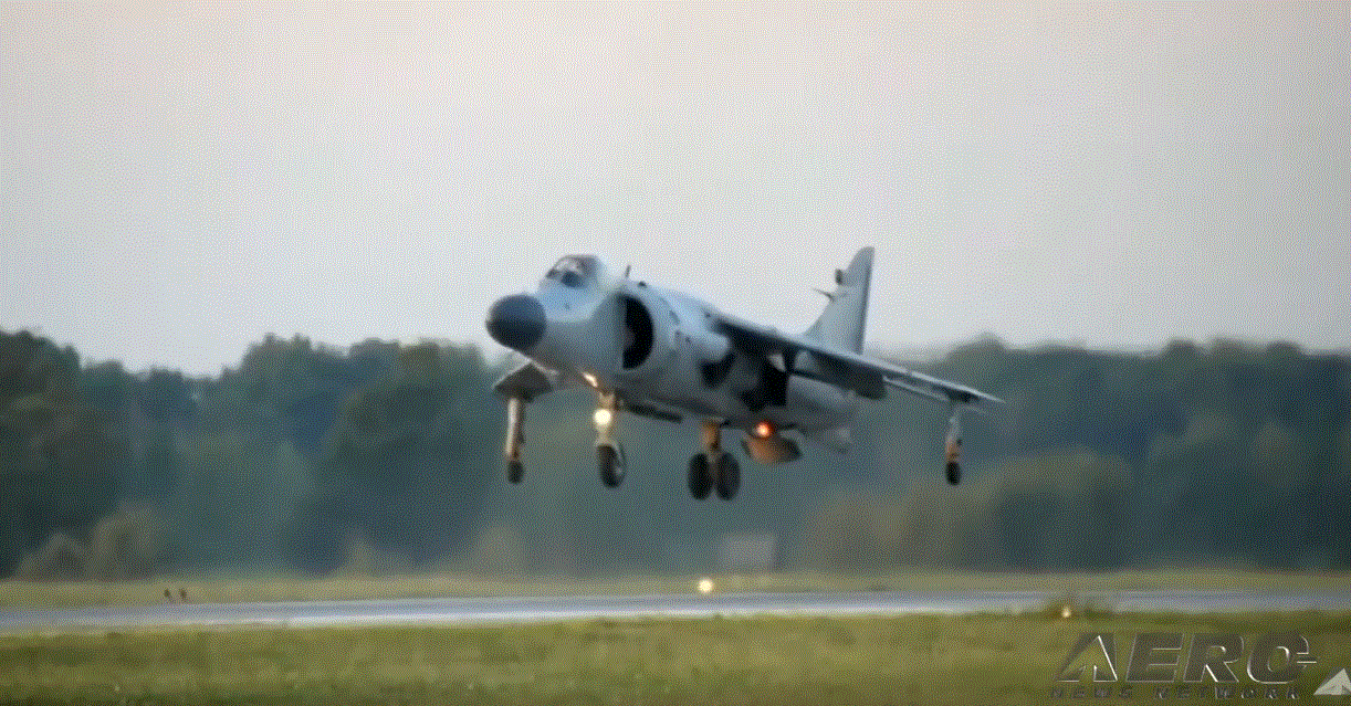 HarrierCapture.GIF