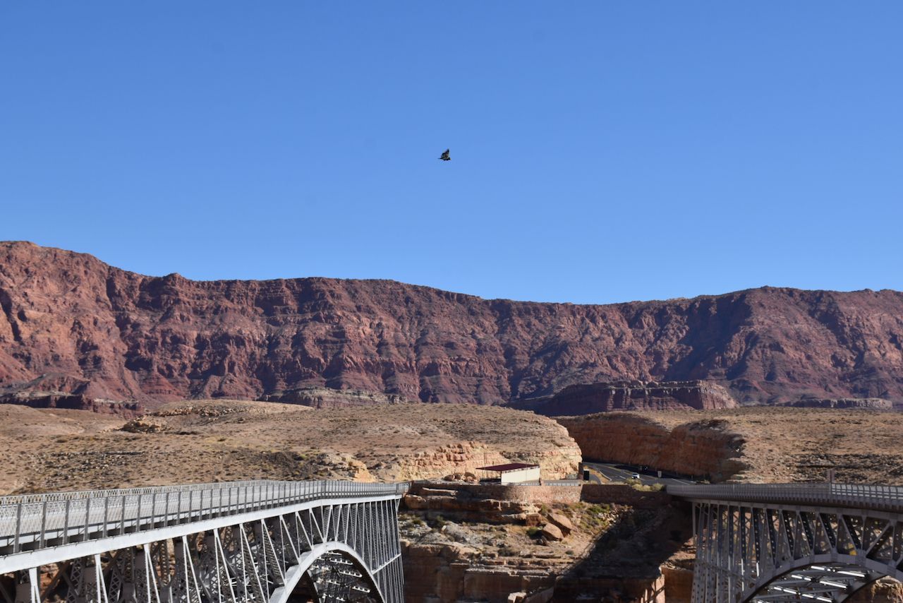 Navajo Bridge - 1 (6).jpeg