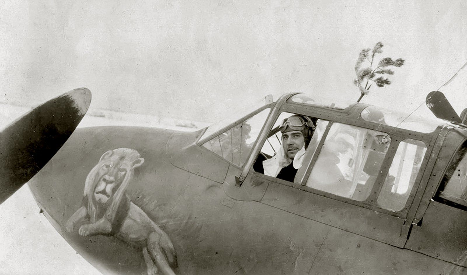 Petlyakov-Pe-2-36GvBAP-with-pilot-Timofey-P-Punev-and-the-Lion-emblem-Ukraine-1943-01.jpg