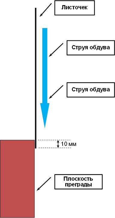 Продувка одного листочка.jpg