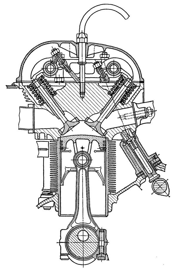 ris-2.jpg