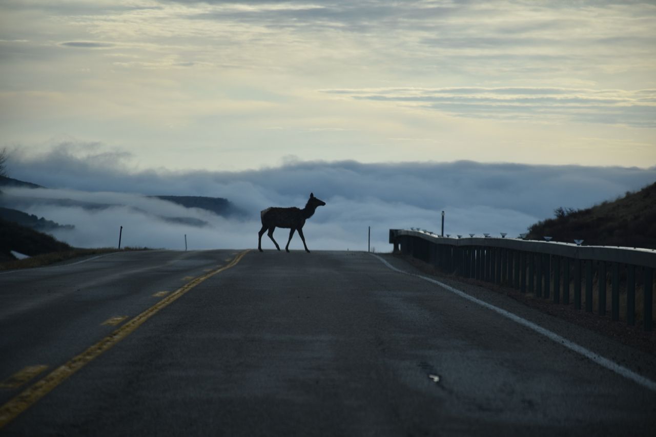 road to Fire Hole campsite - 1 (1).jpg