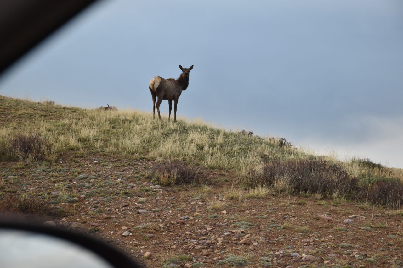 road to Fire Hole campsite - 1 (2).jpg