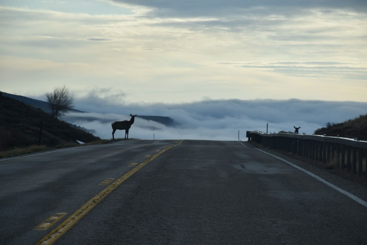 road to Fire Hole campsite - 1.jpg