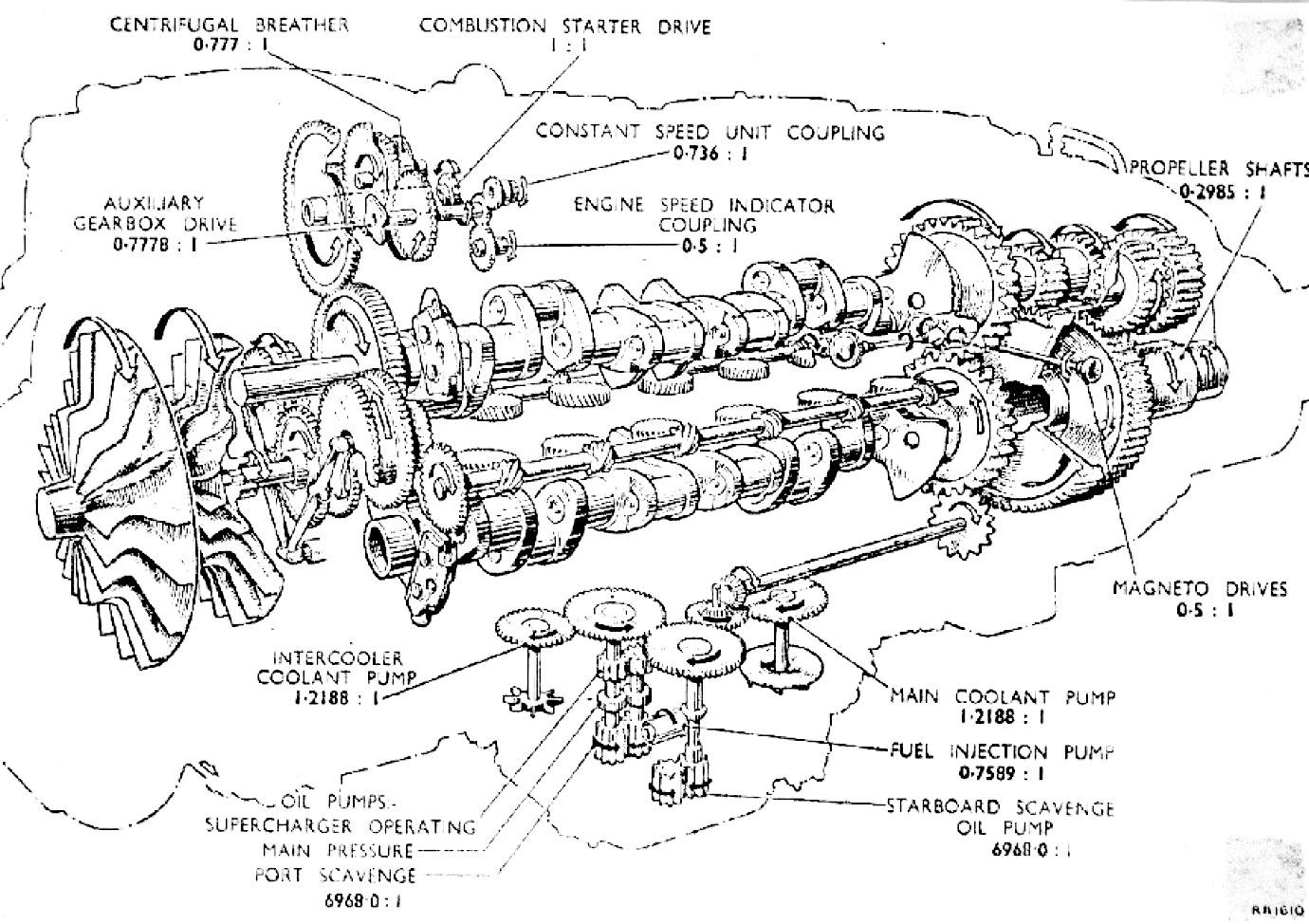 rr-eagle inside.jpg