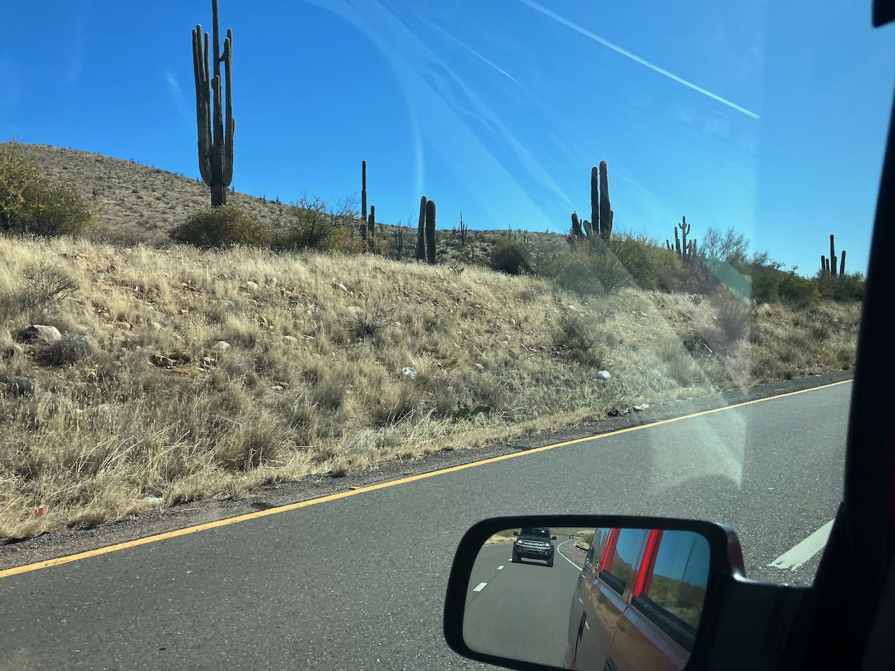 saguaros - 1.jpeg