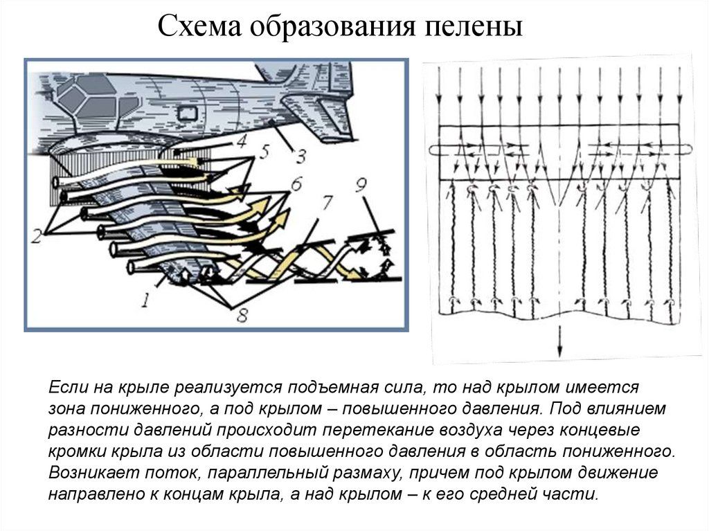 slide-6.jpg