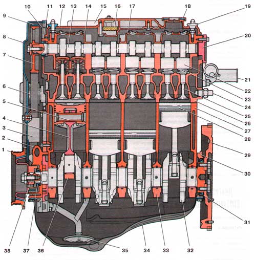 vaz-v-razreze.jpg