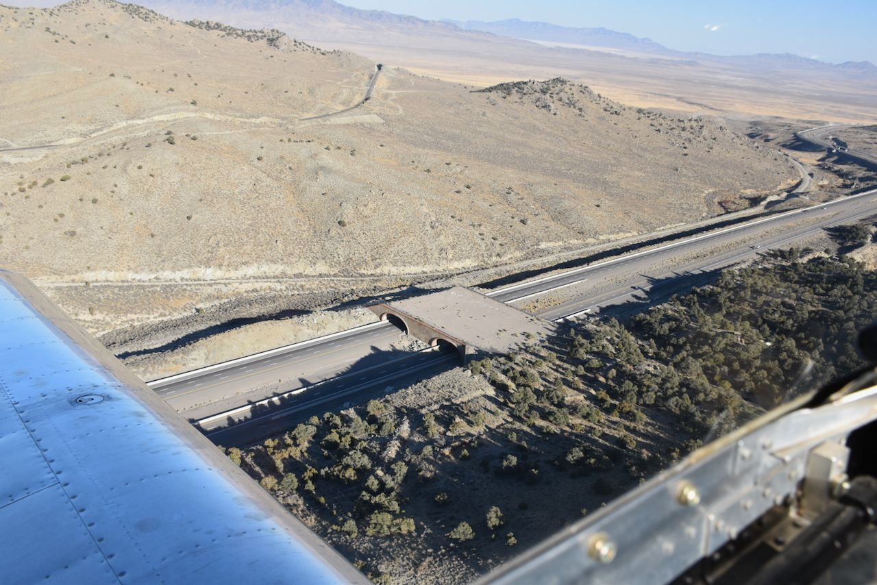 Wildlife crossings - 1 (1).jpeg