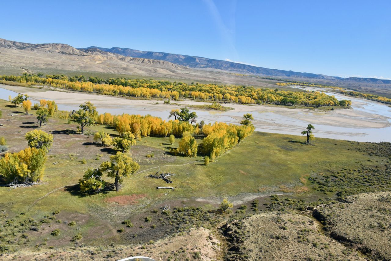 Yampa River - 1.jpeg