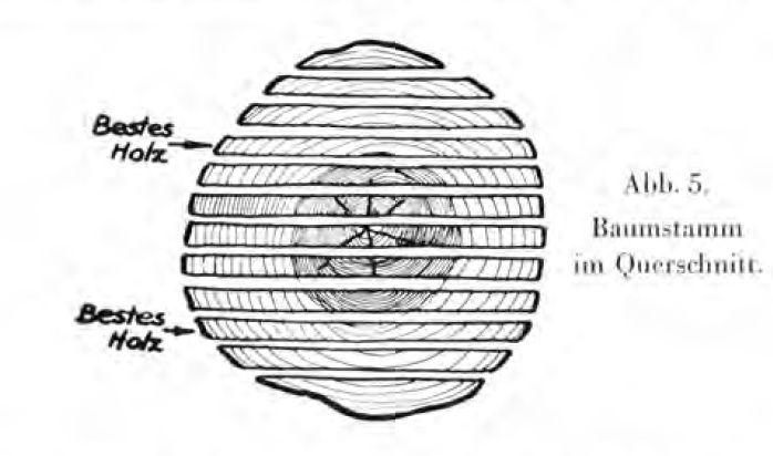 Zabolon.jpg