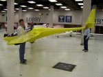 LightHawk_Sailplane.jpg