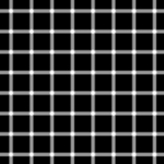 220px-Grid_illusion_svg.png