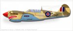 Kittyhawk_Mk_IV_112_Squadron_RAF.jpg