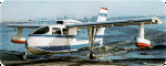 trigull-01-740R.gif