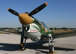 SnF_Pl_P-40.jpg