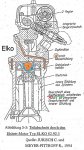 Elsbett-Elko-Schnitt.jpg