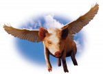 Pigs_fly_001.jpg