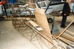 auster_626498.jpg