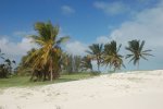 Bahamas_2011_-_1__4_.jpg