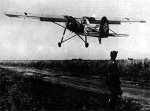 storch5.jpg