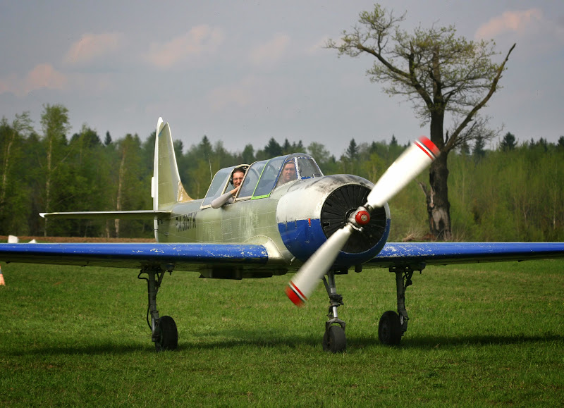 Yak-52.jpg