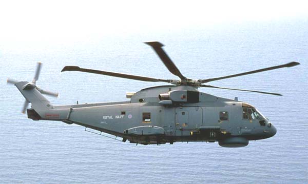 merlin-6.jpg