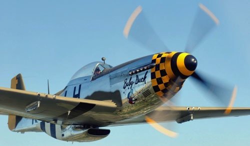 1500391716_mustang-warbird.jpg